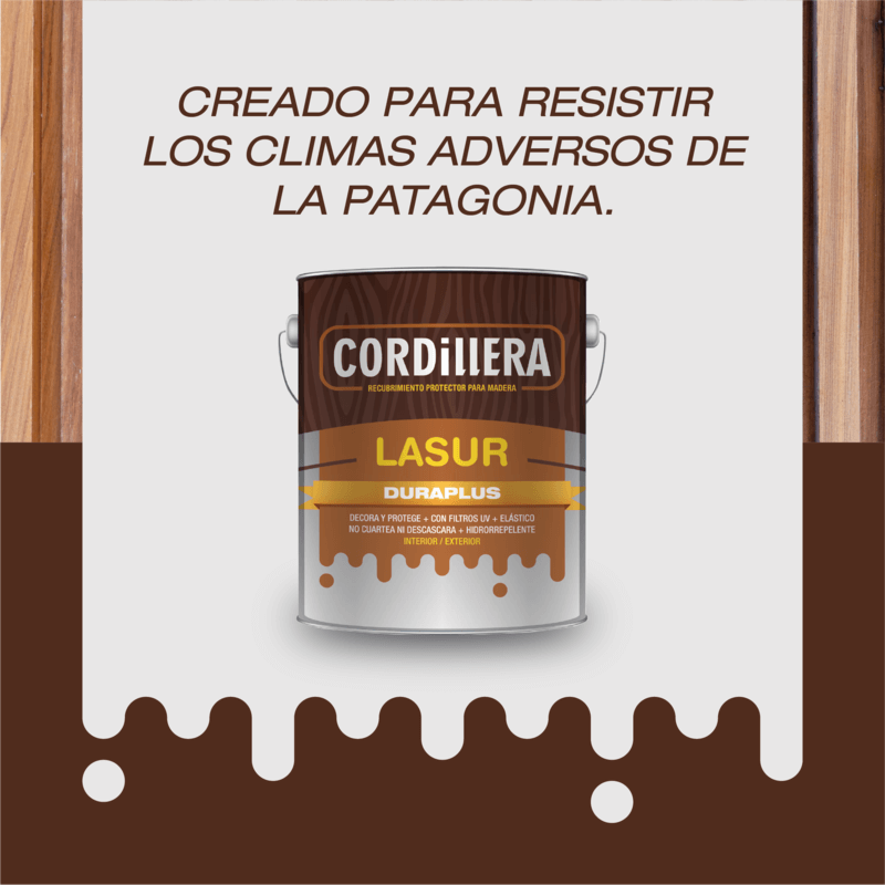NOVEDADES-01